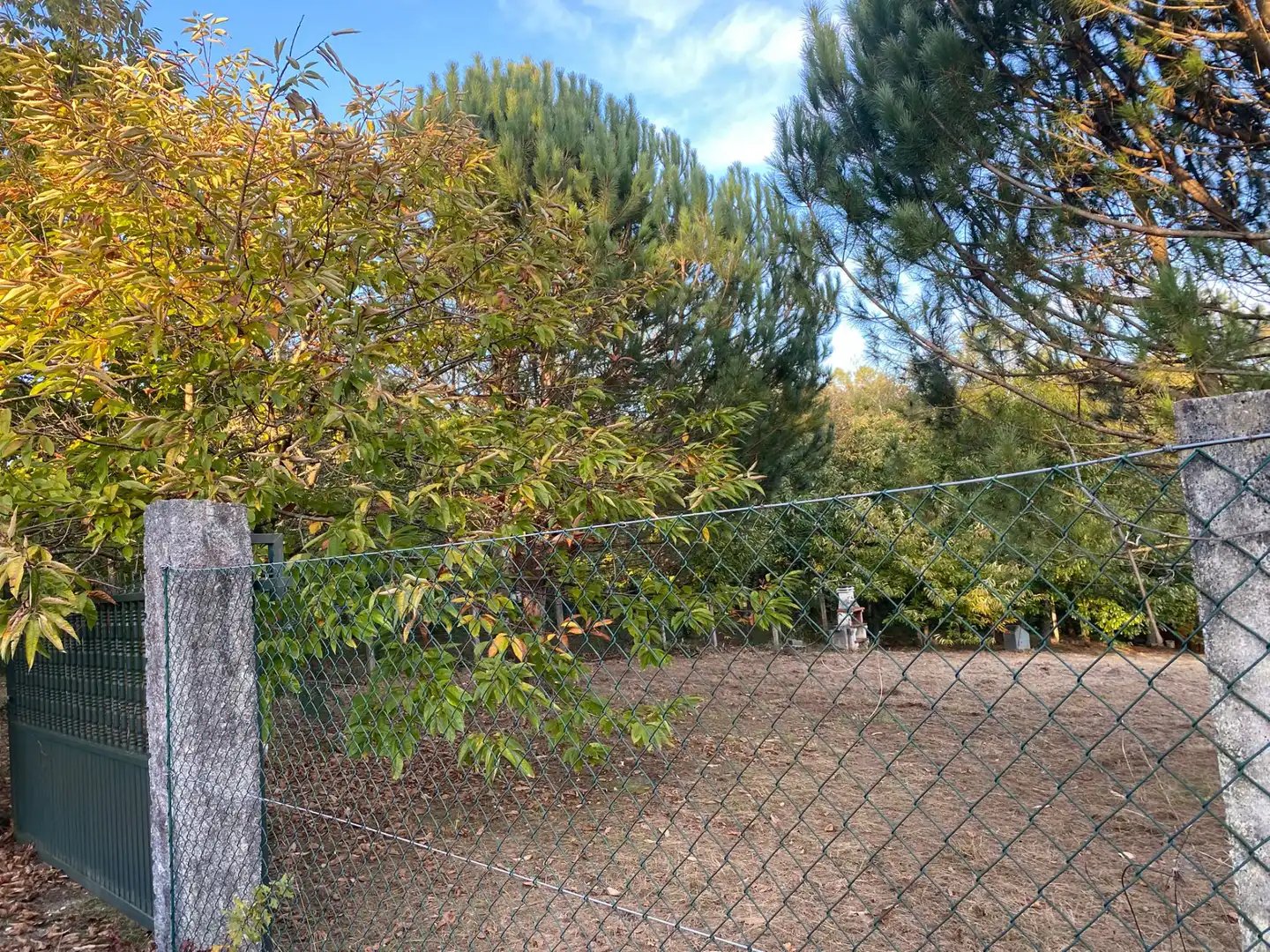 Garten von Grundstücke zur Miete in Teo