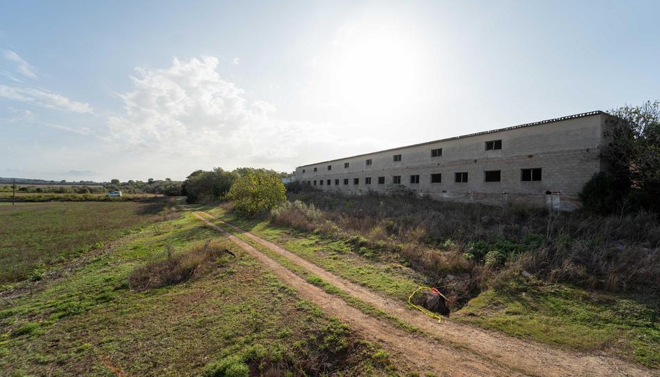 Photo 1 of Country house for sale in Polígono Diseminados Poligono, Ariany, Illes Balears