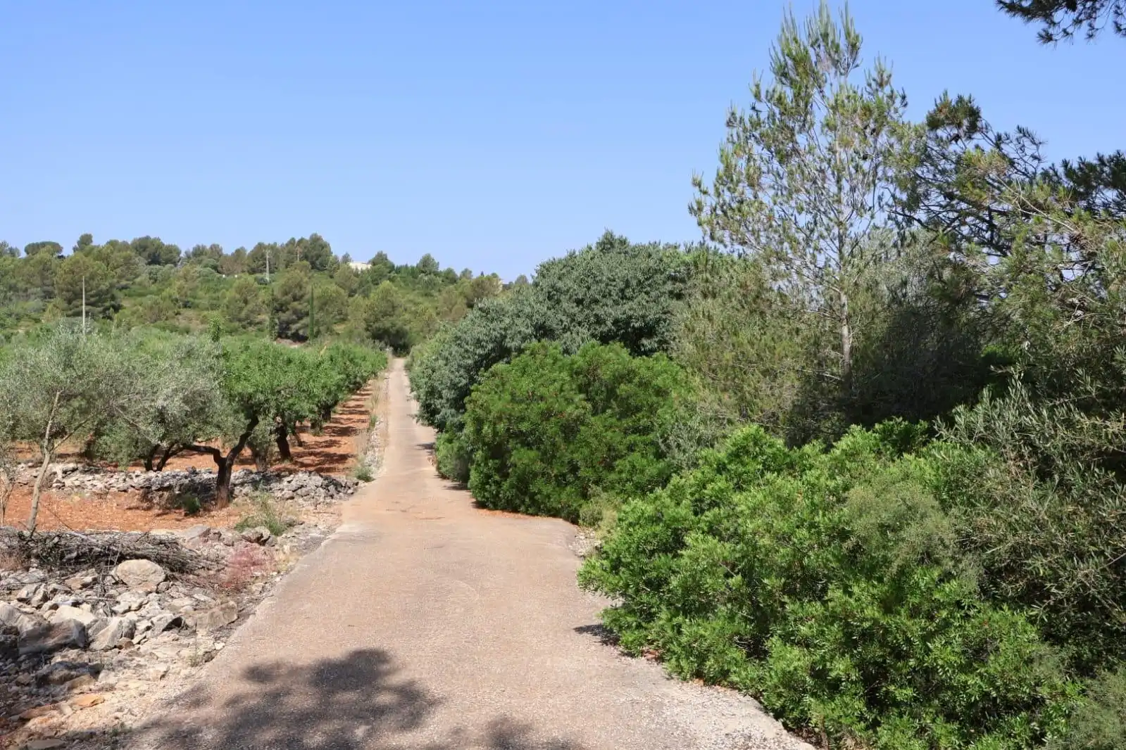 Finca rústica en venda a Vall d'Alba