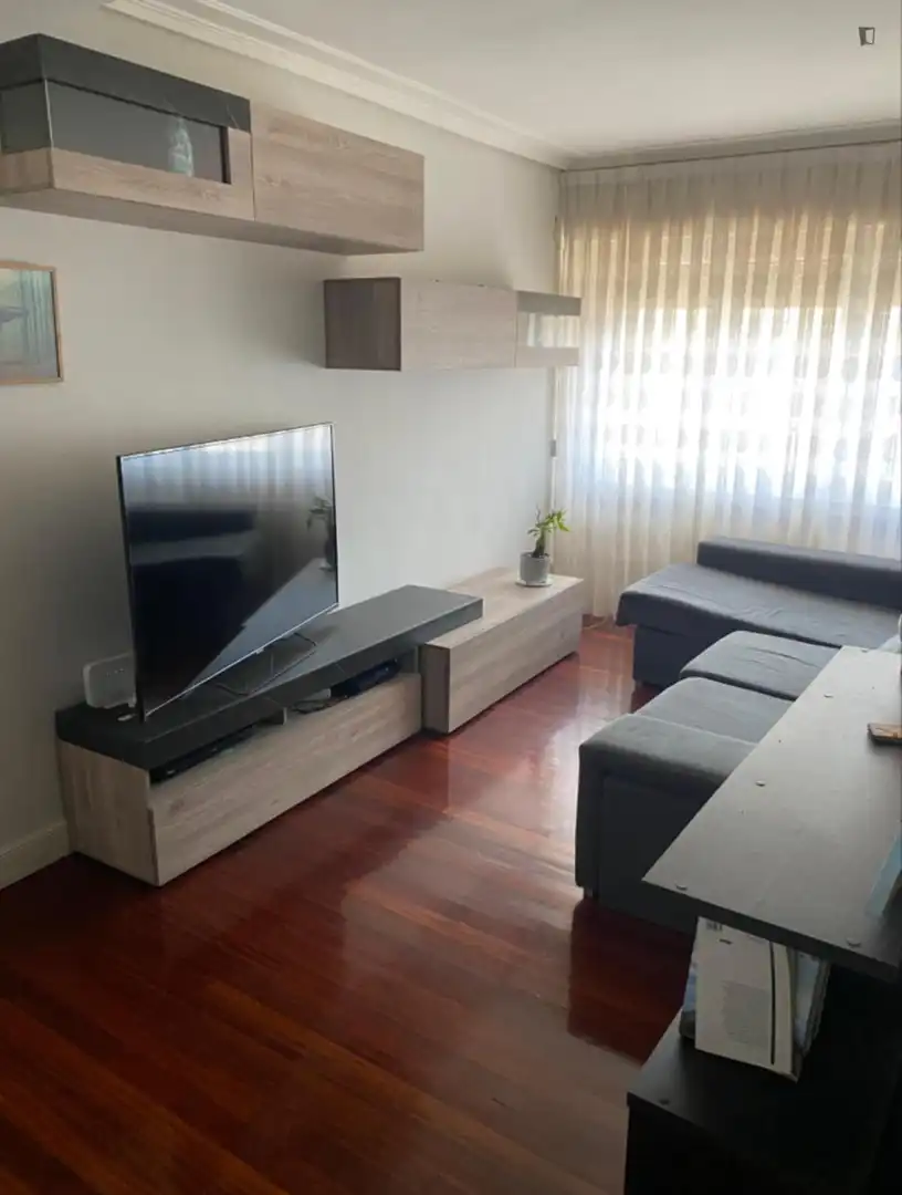 Living room of Apartments for share in Bilbao   with Furnished, Oven and Washing machine
