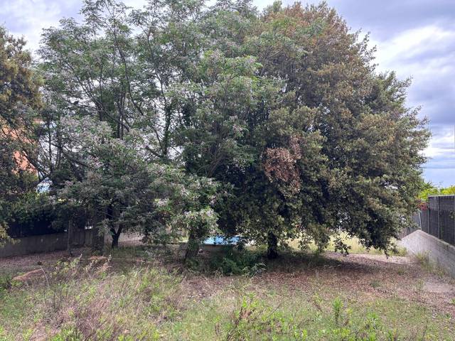 Terreno residencial en Venta en Arxiu