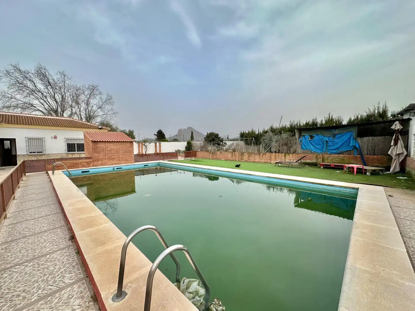 Piscina de Casa o chalet en venta en Antequera