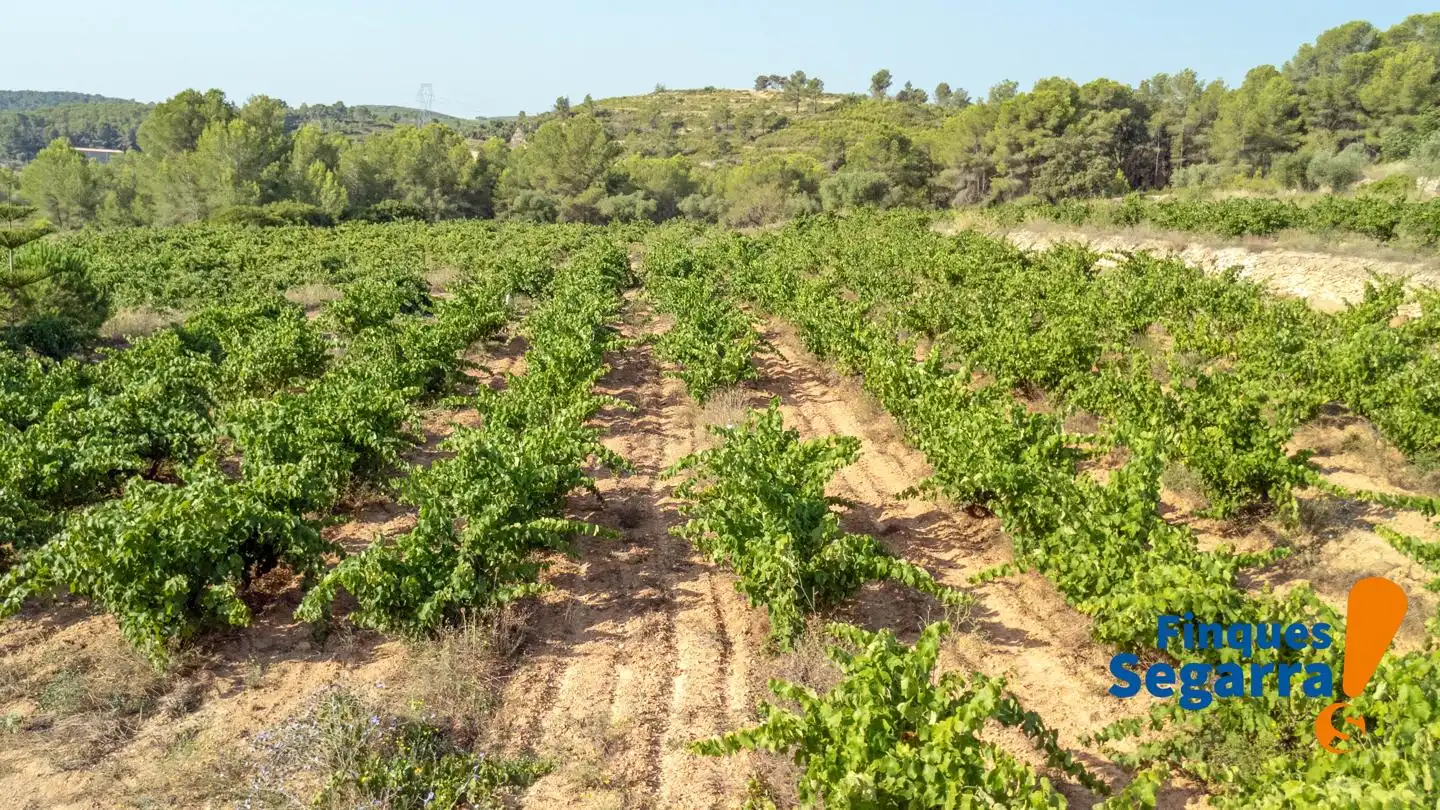Land for sale in Bonastre, Bonastre