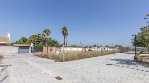 Foto 4 de Residencial en venta en El Palmar, Valencia Capital