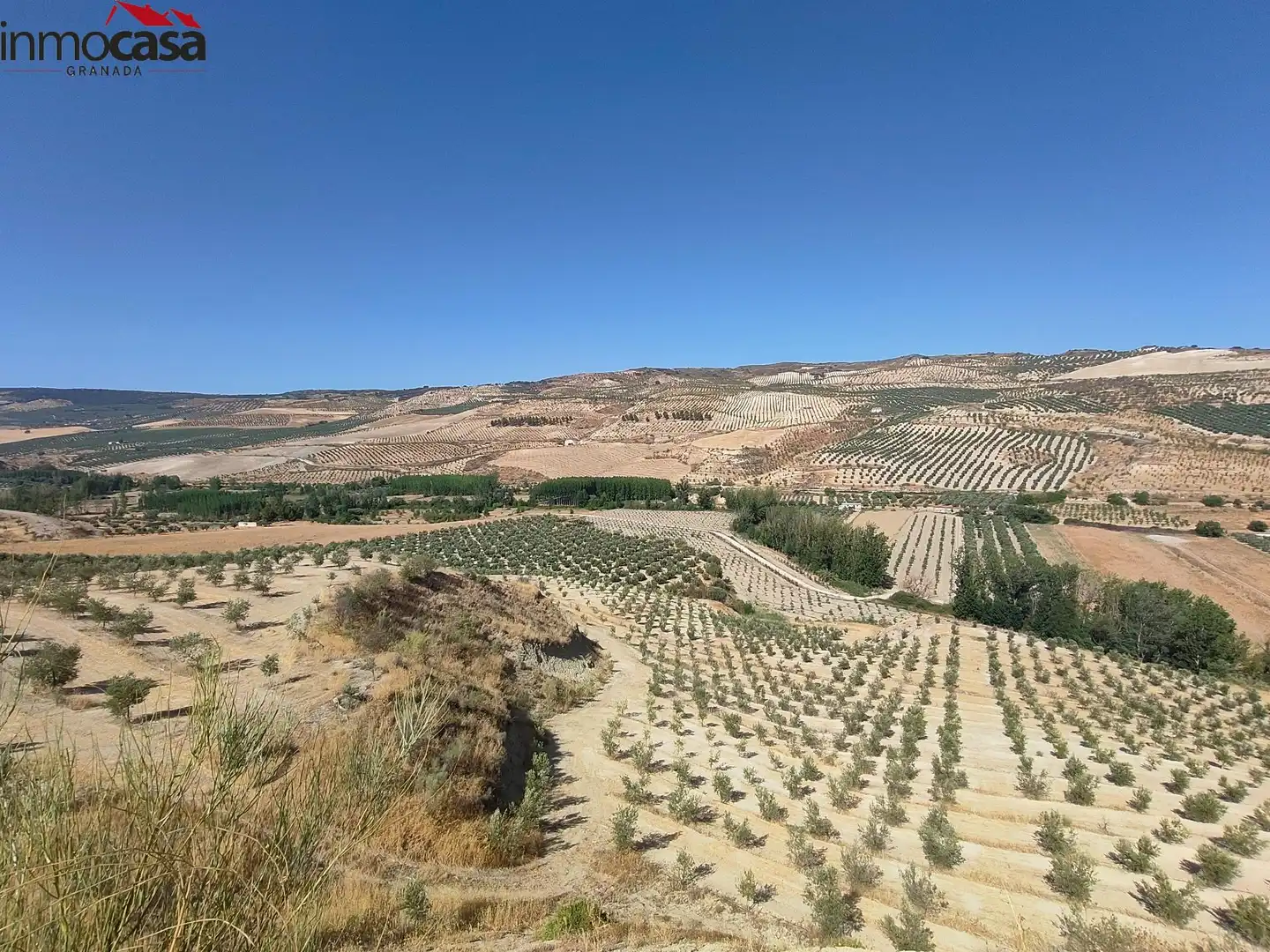Rural land for sale in Santa Cruz del Comercio, imagen 12