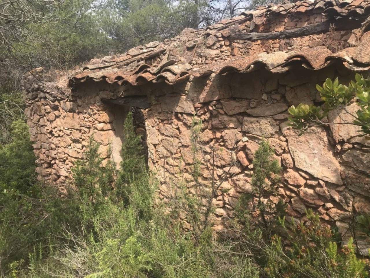 Exterior view of Land for sale in Capçanes