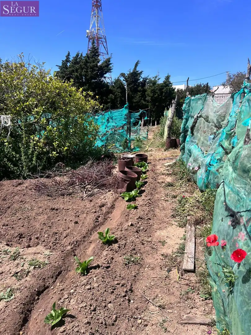 Jardí de Finca rústica en venda en Vejer de la Frontera