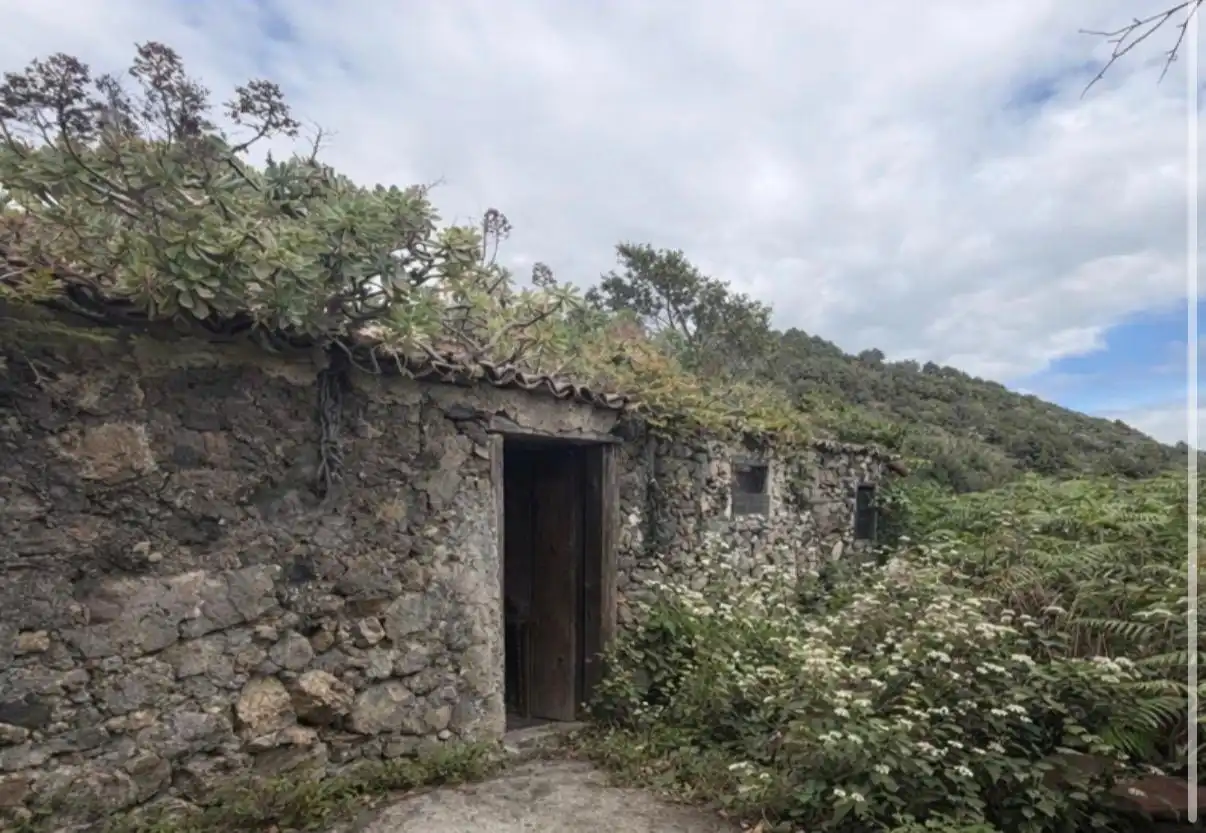 Vista exterior de Casa o chalet en venta en Villa de Mazo con Jardín privado, Terraza y Piscina