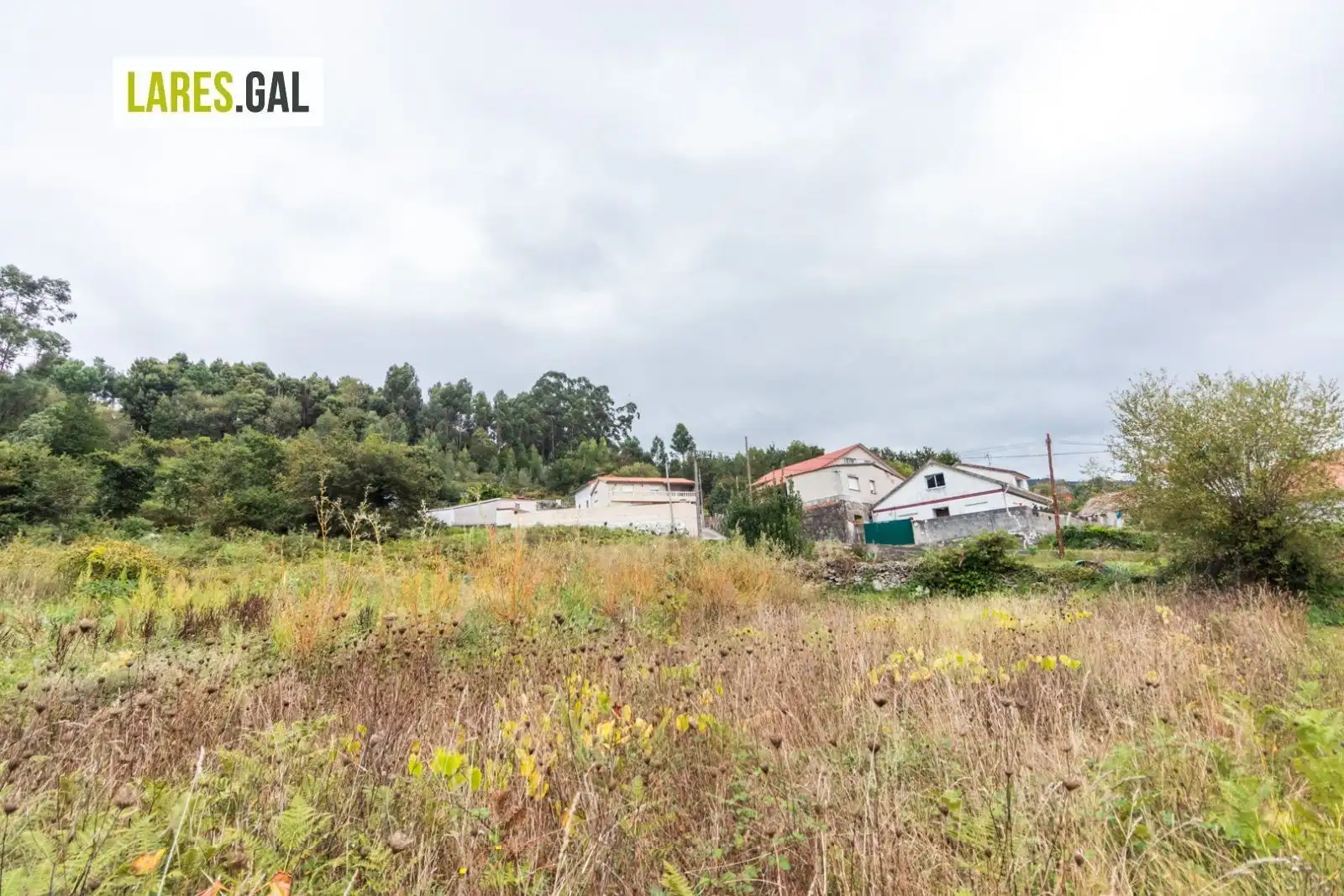 Terrain rustique à vendre à Paradela, imagen 15