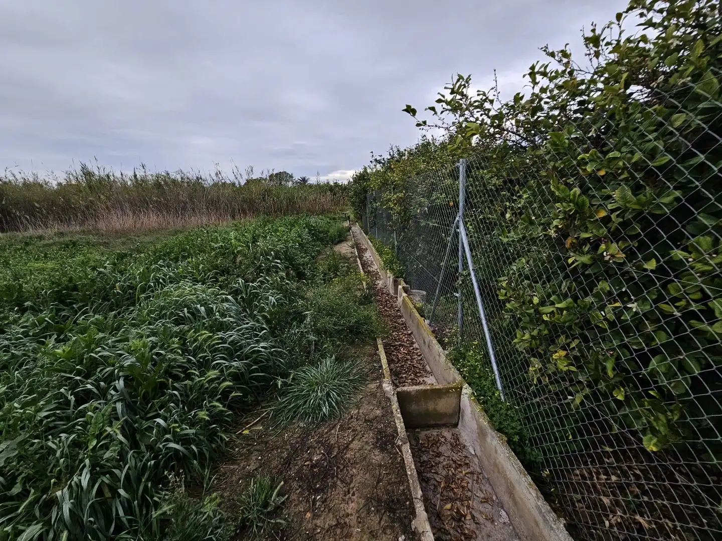 Terreno en venta en Beniel