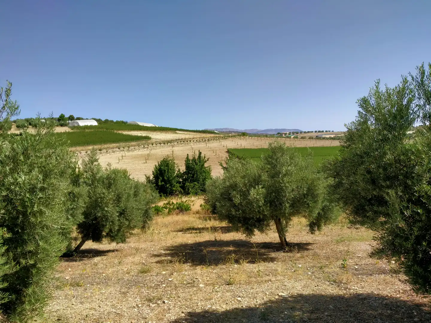 Rural land for sale in Calle Medina del Campo, imagen 21