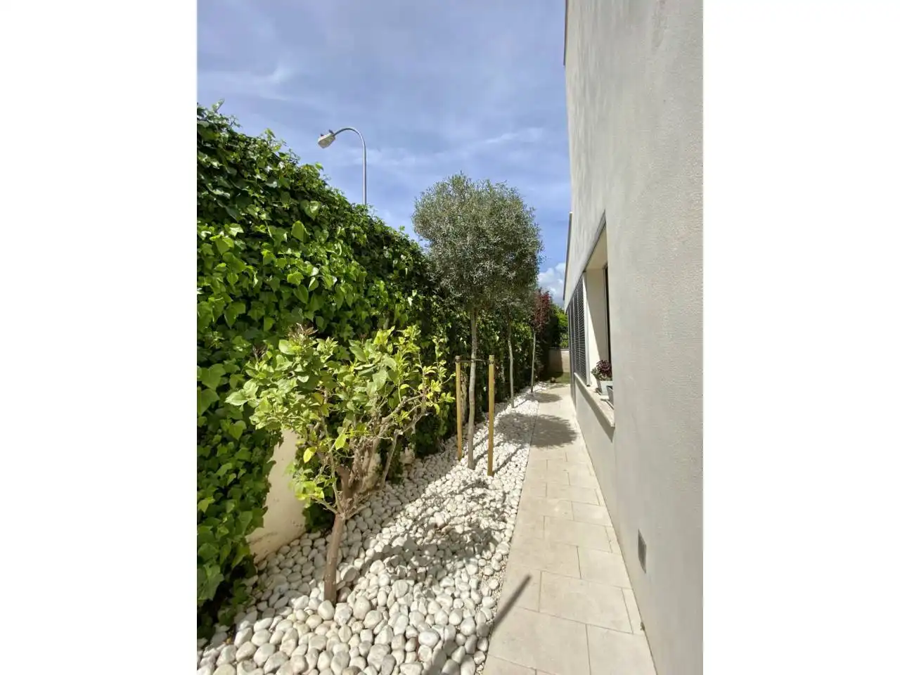 Garten von Einfamilien-Reihenhaus zur Miete in Ponent