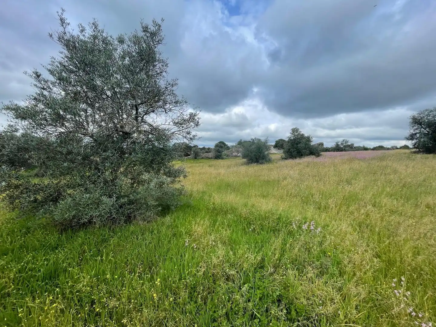 Terrenos y solares en venta en Malpartida de Cáceres, imagen 4