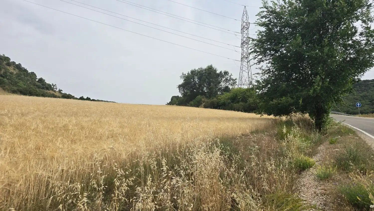 Terreno en venta en M-219, 175, Olmeda de las Fuentes
