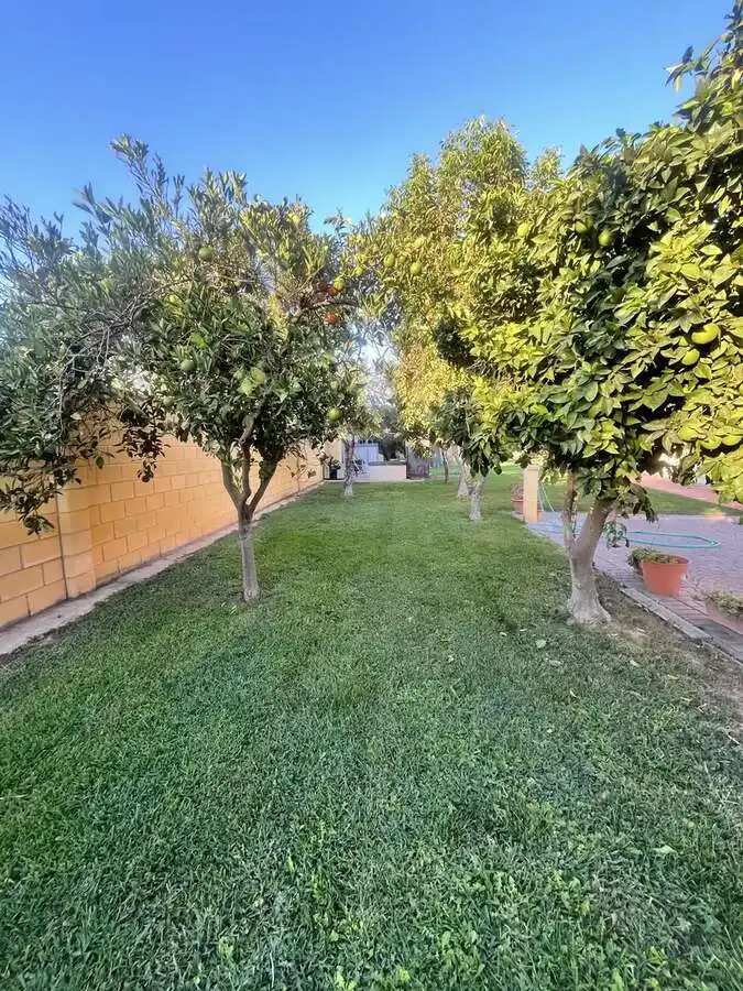 Chalet con terraza en venta en Periurbano Este - Campiña, imagen 22