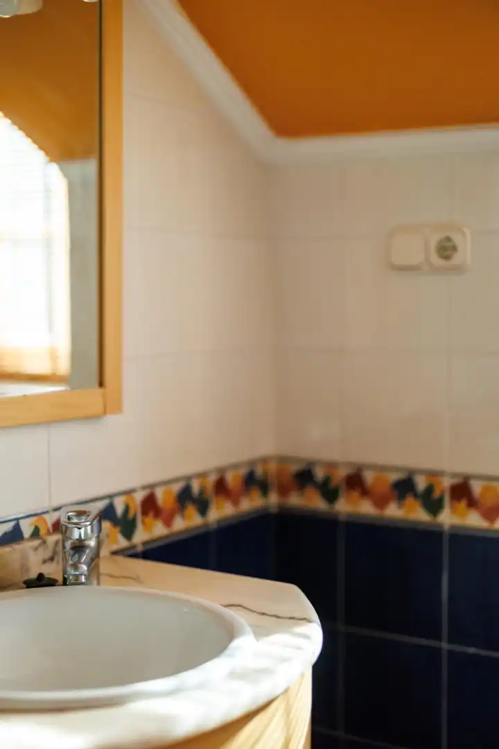 Baño de Casa o chalet en venta en Montroi / Montroy con Calefacción, Jardín privado y Terraza