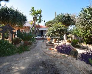 Jardí de Casa o xalet en venda en Ciutadella de Menorca amb Jardí privat, Traster i Piscina