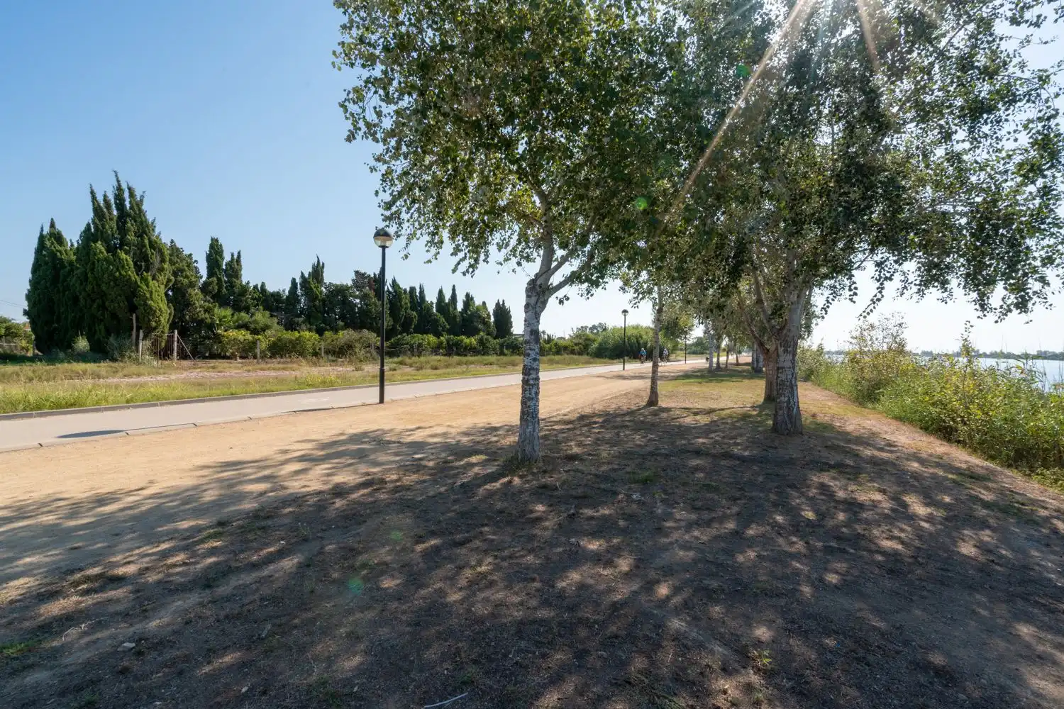 Rural land for sale in Deltebre, imagen 16