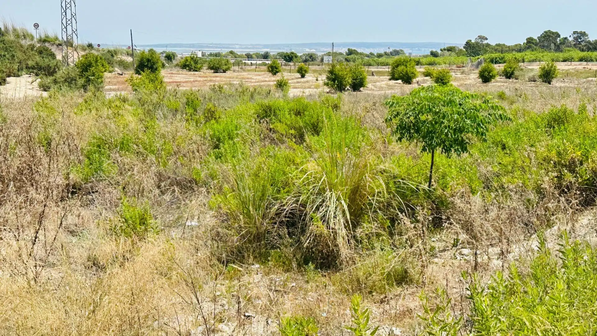 Terrain rustique à vendre à La Marina, imagen 14
