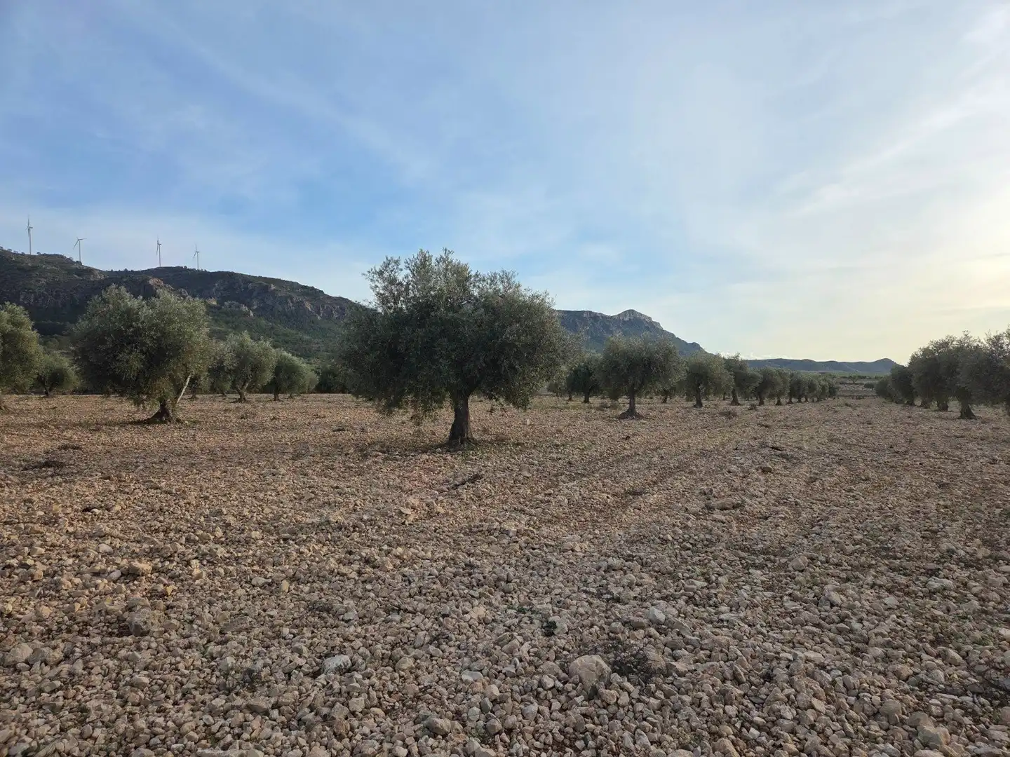 Terrenos y solares en venta en N/A, imagen 5