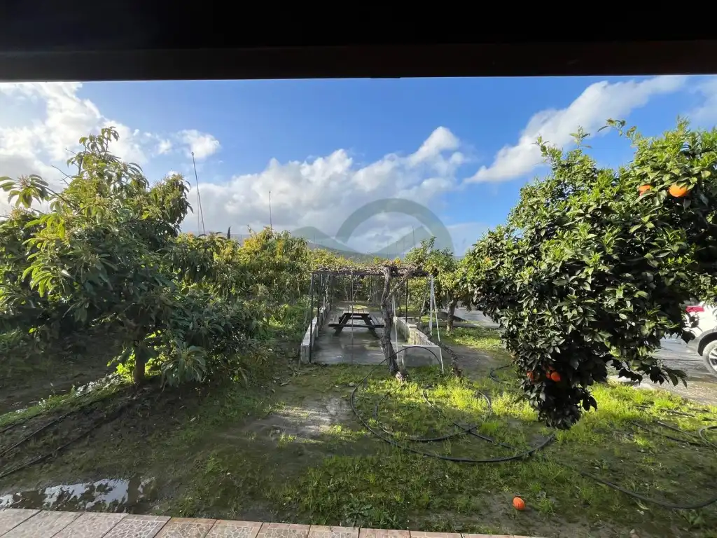 Country house for sale in Jimena de la Frontera, imagen 10
