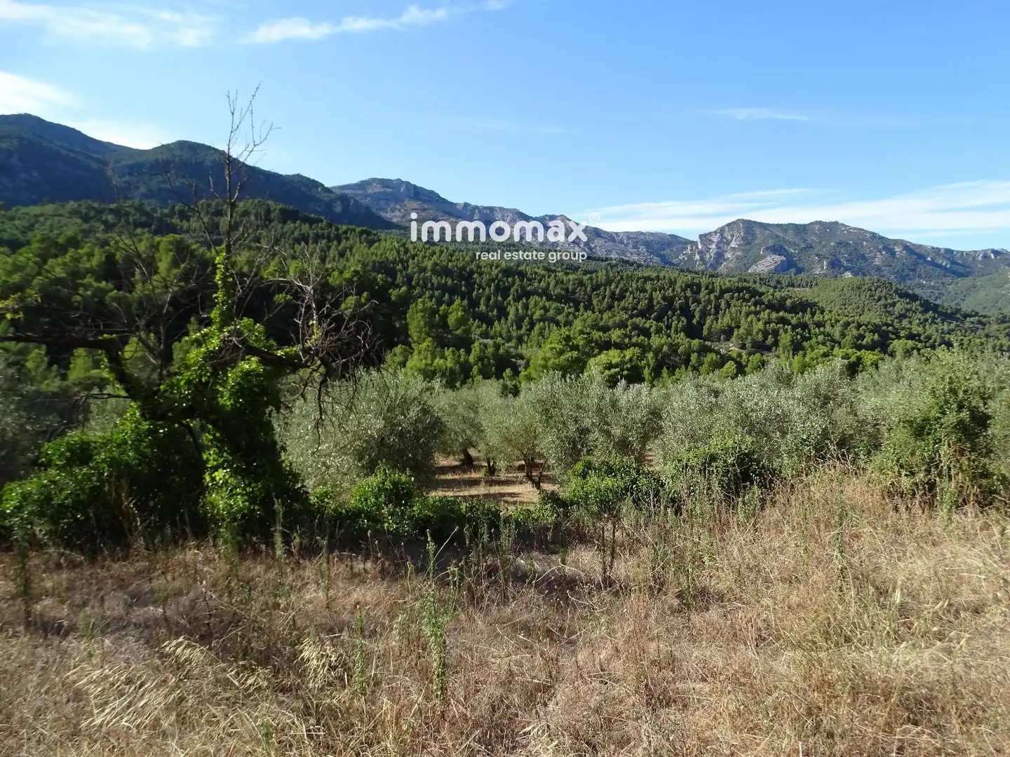 Terreno en venta en Paüls