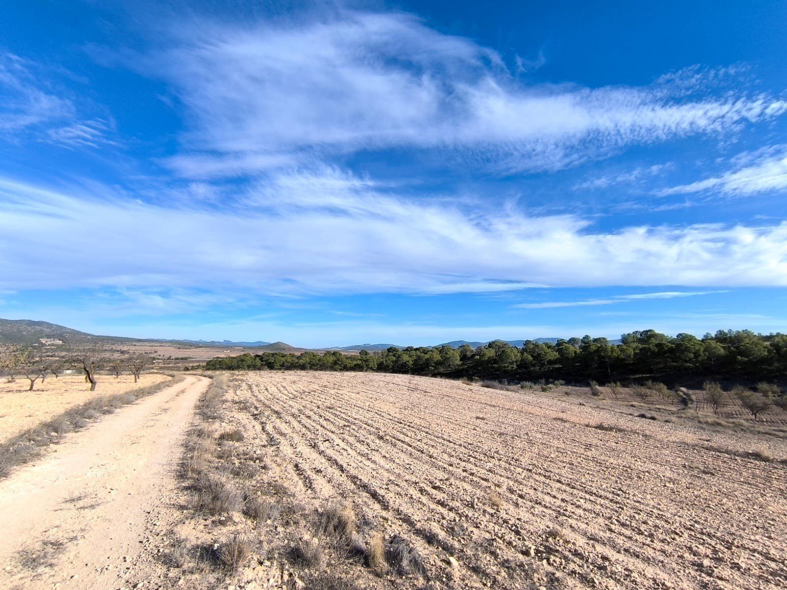 Residential for sale in Yecla