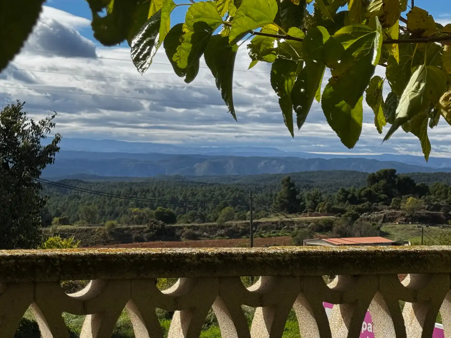 Jardín de Casa o chalet en venta en La Cerollera con Aire acondicionado, Jardín privado y Terraza