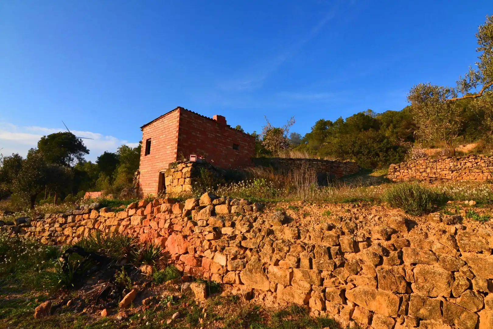 Rural land for sale in Corbera d'Ebre, imagen 25