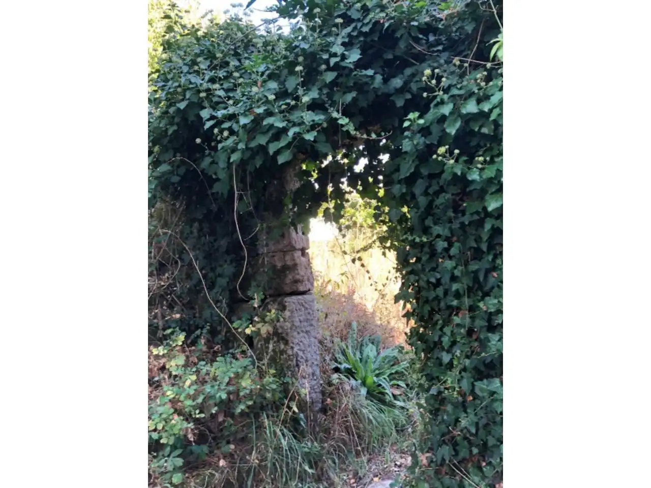 Casa amb jardí en venda a Entrimo, imagen 3