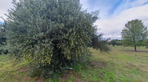 Foto 3 de Finca rústica en venta en Aldea del Fresno, Madrid