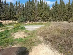 Rural land for sale in Vallmoll, imagen 3