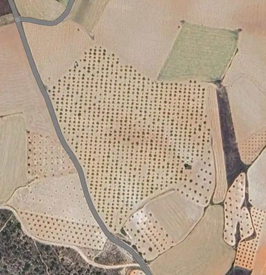 Terreny rústic en venda a Noblejas, imagen 2