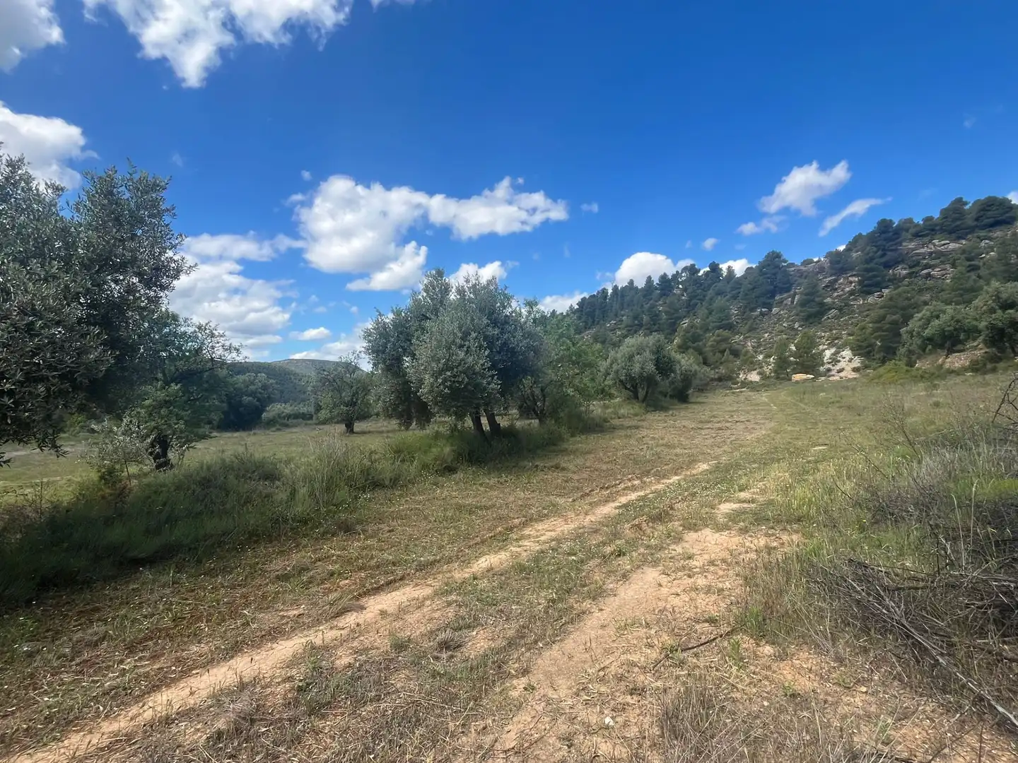 Terreni e lotti in vendita a Valderrobres, imagen 7