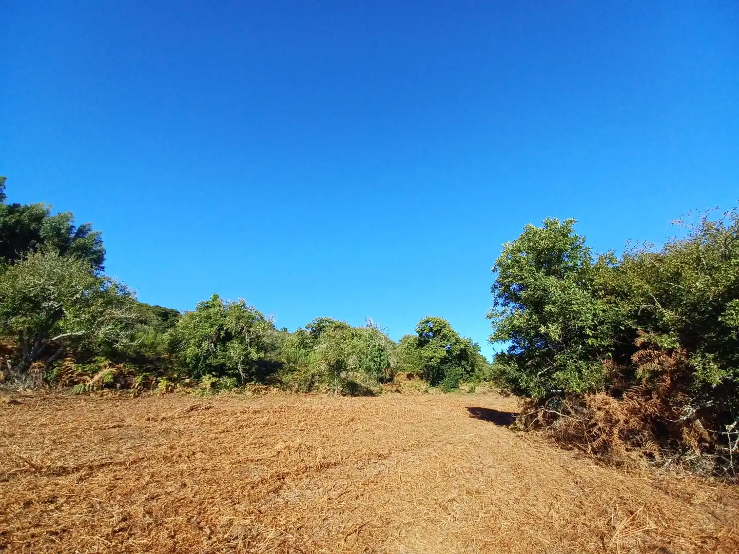 Terrenys i solars en venda a La Esperanza - Llano del Moro, imagen 7