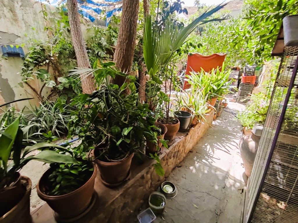 Jardí de Casa o xalet en venda en Berja amb Aire condicionat, Jardí privat i Terrassa