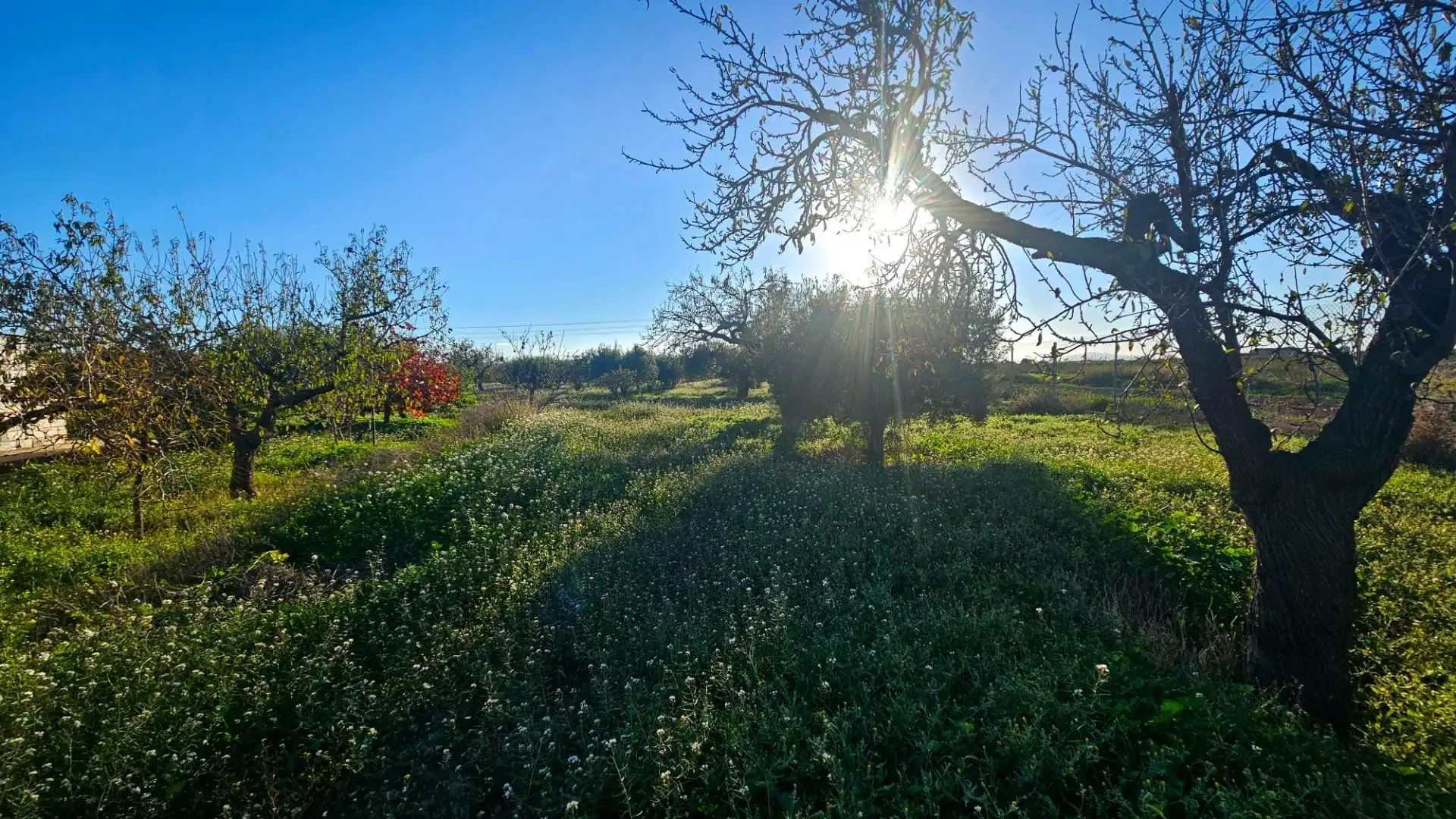 Villa mit Garten zum Verkauf in Centro, imagen 27