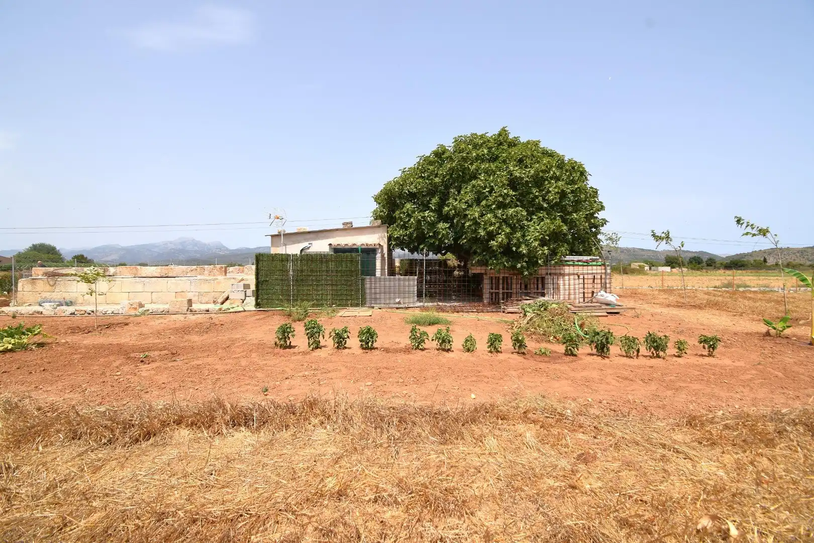 Finca rústica en venda en Sa Pobla amb Terrassa