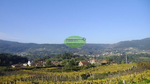 Immagine 2 dell'annuncio