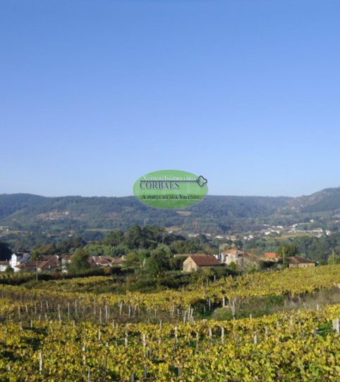 Foto 2 de Casa o xalet en venda a Ribadavia, Ourense