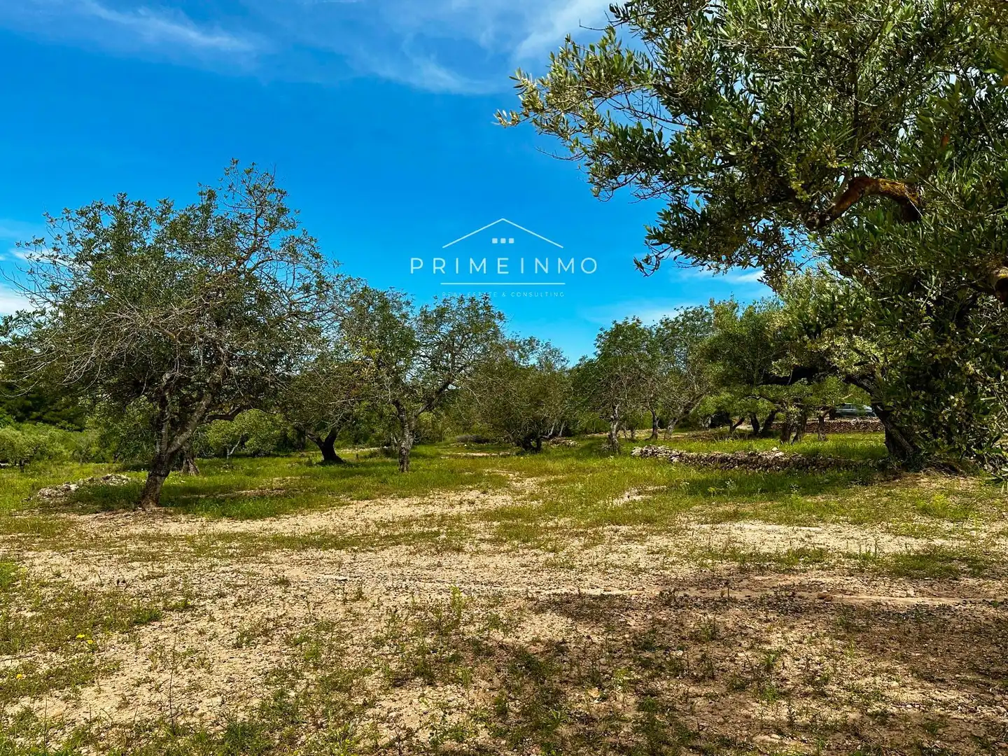 Terreno rústico en venta en Tivissa, imagen 51