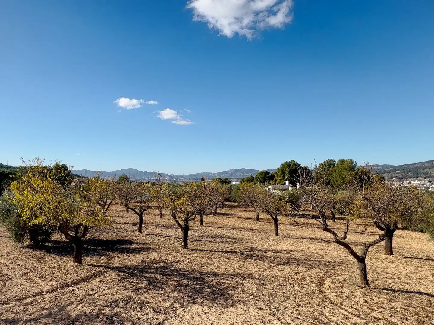 Terrenys i solars en venda a Ibi, imagen 12