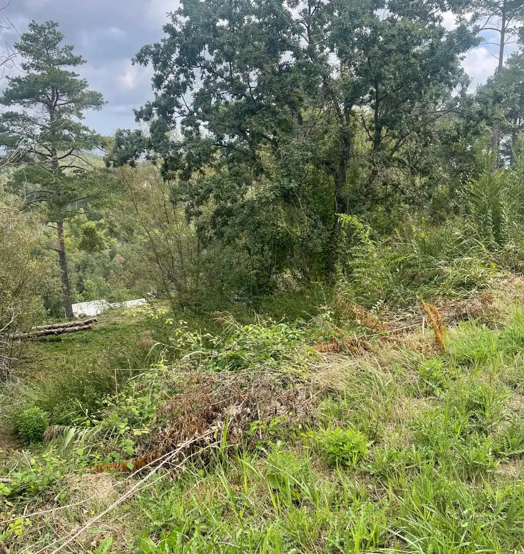 Residential land for sale in Muntanyola, imagen 10