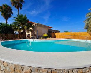 Piscina de Àtic de lloguer en Elche / Elx amb Aire condicionat, Calefacció i Jardí privat