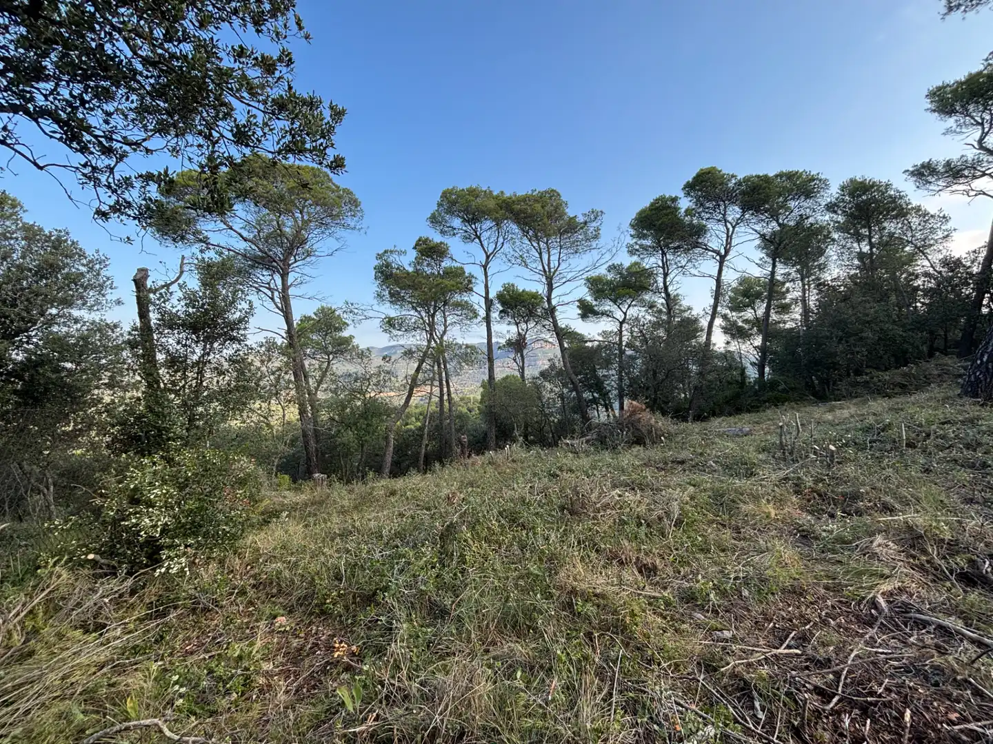 Residential land for sale in Carrer Pasarell, imagen 15