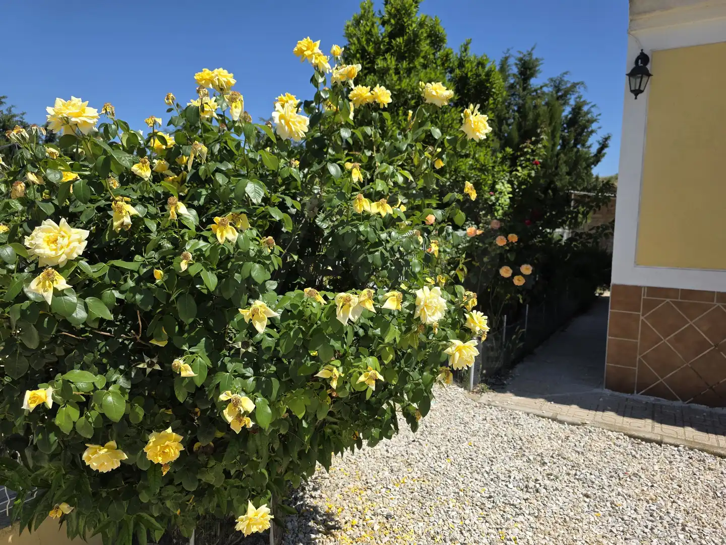 Maison avec piscine à vendre à Calasparra, imagen 18