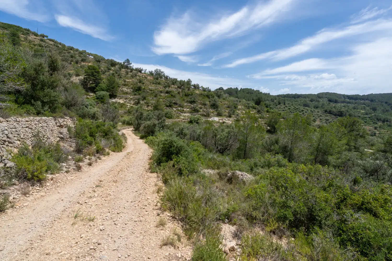Terrain rustique à vendre à Camí dels Corrals de la Riba 9, imagen 13
