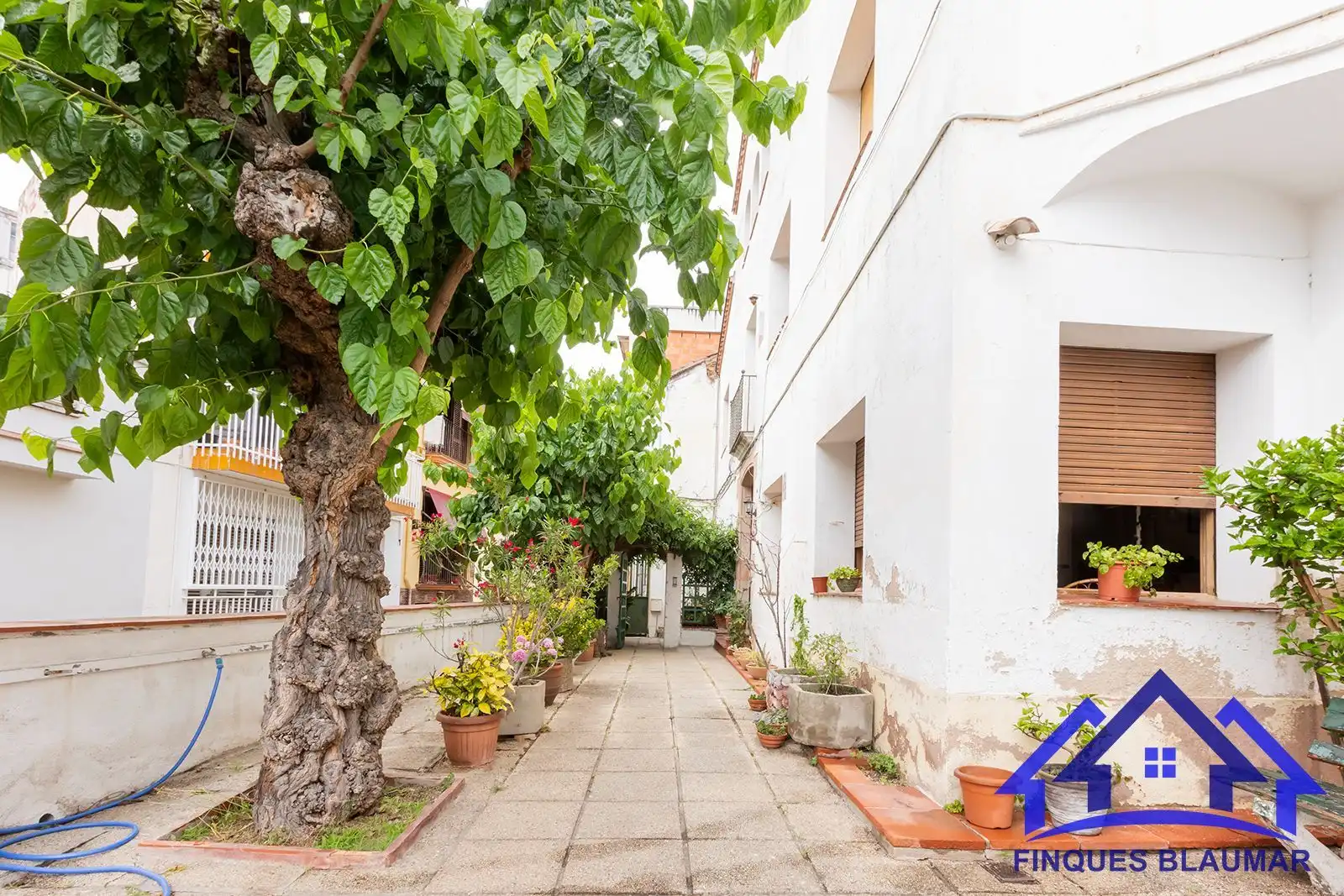 Vista exterior de Finca rústica en venda en Arenys de Mar amb Calefacció, Jardí privat i Terrassa