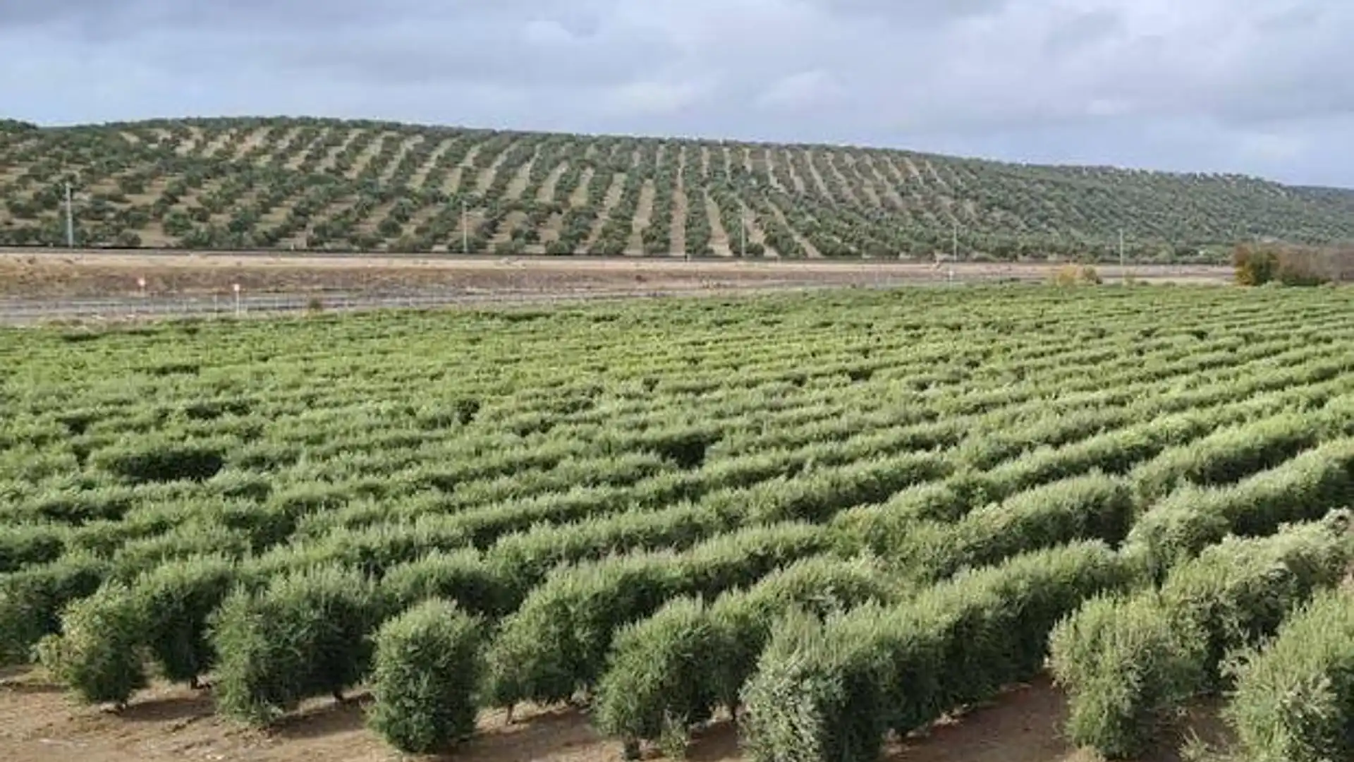 Country homes for sale in Puente Jontoya - Puente de la Sierra - El Arroyo