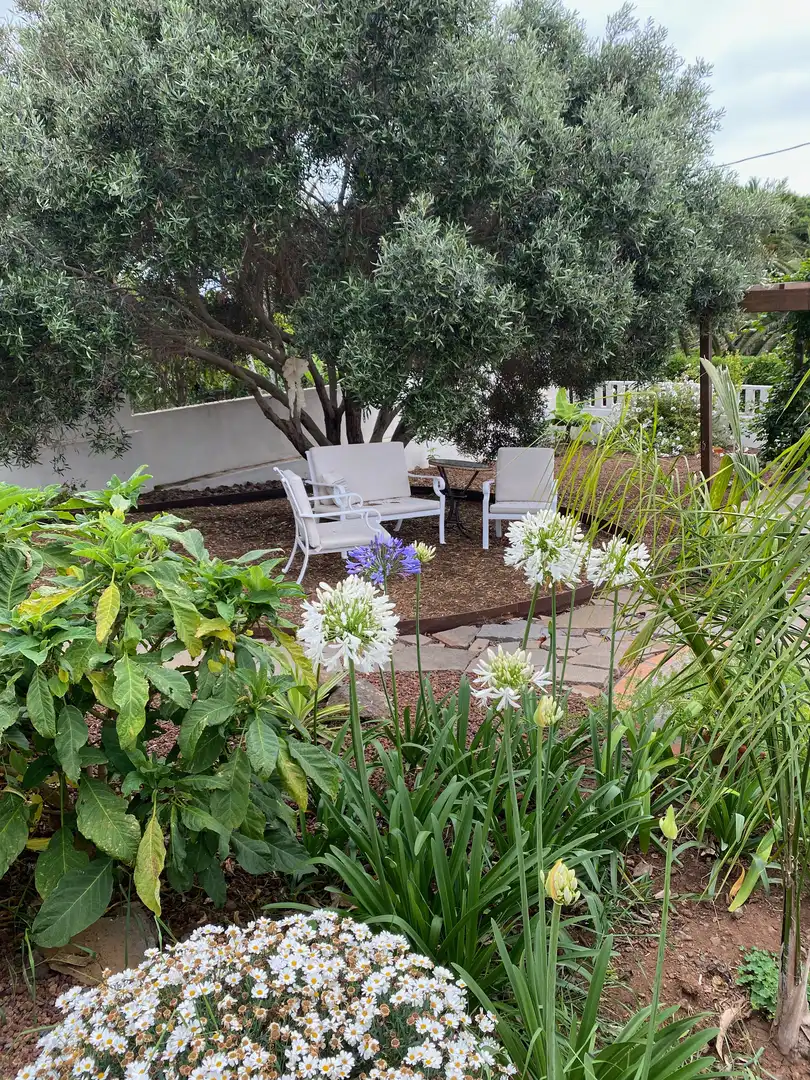 Terraza de Casa o chalet de alquiler en Tacoronte con Aire acondicionado, Jardín privado y Terraza
